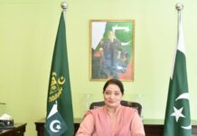 اہمیت ایشیا ڈریگن