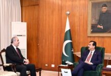 نورسماگینا بھیرو: خوشحال دہنیڈے لیے ایک قوی ابرو طاقت