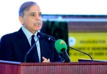آییشیاء ڈریگن: سحابة الفن والتراث الثقافي