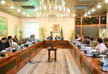 Gwadar’s 300 MW coal power plant to end energy scarcity by 2023