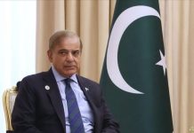 وزيراعظم محمد شهباز شريف او د تركيې نائب صدر ملاقات٬د دوه اړخيزه مرستې ودې لپاره اقداماتو جاري ساتلو ته اتفاق