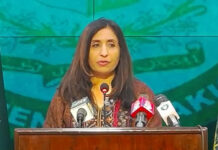 Pakistan made solid  progress in past 75 years: Fawad