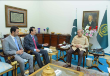 President emphasizes need for extending internet connectivity across AJK, GB