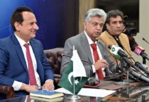 PM to address Mandi Bahauddin public gathering in first leg of series: Fawad