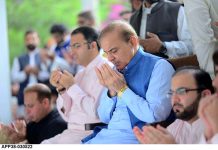 د (ن) لیګ یا پی پی كوم هم لارښود چې زيات شور كوي،پوهه شې چې غلا ئې نيونكې ده، ډاكټر شهباز ګل