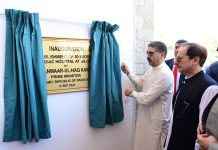 FS Mahmood stresses upon utilization of all resources to facilitate Pak diaspora