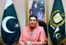 PTI purposefully deploys violence as policy: PM