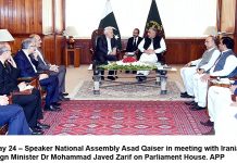 NADRA Chairman to be appointed on merit: Rana