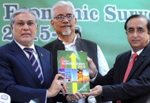 FM reiterates Pakistan’s firm support to Turkiye in fight against terrorism