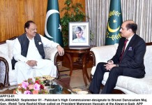Sherry slams Imran Khan for anti-parliamentary democracy remarks