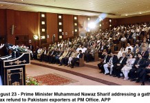 Provinces should set up separate ministries for population control: Marriyum