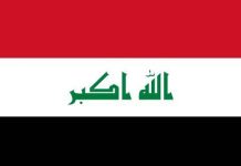 Saudi Defence Ministry official calls on Air Chief