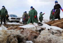 PM apprises President Sisi about devastation of floods