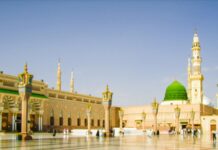 گذريل سال اٽڪل 28 ڪروڙ زائرين مسجد نبوي ۾ عبادت لاءِ آيا