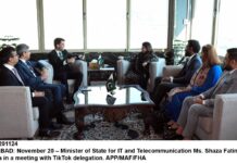 چاہندوں ٹک ٹاک پلیٹ فارم تعلیمی مقصد سانڳے وی استعمال تھیوے، وزیر مملکت شزہ فاطمہ